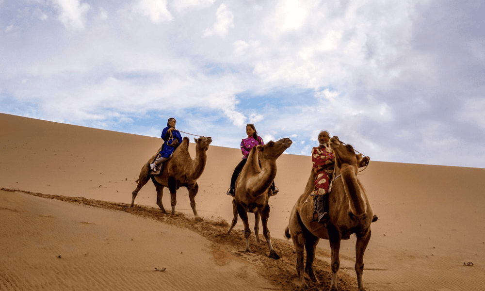 Mongolia Travel Packages: Best Routes, What’s Included & What to Expect